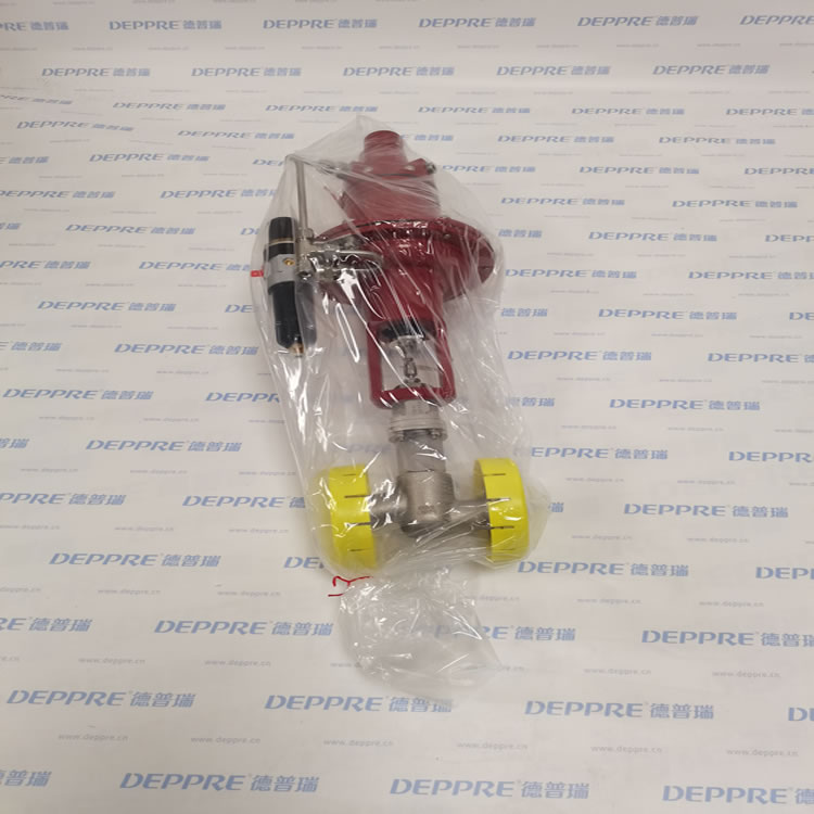 1739782452547204.jpg BadgerMeter_RC210-860_004.jpg