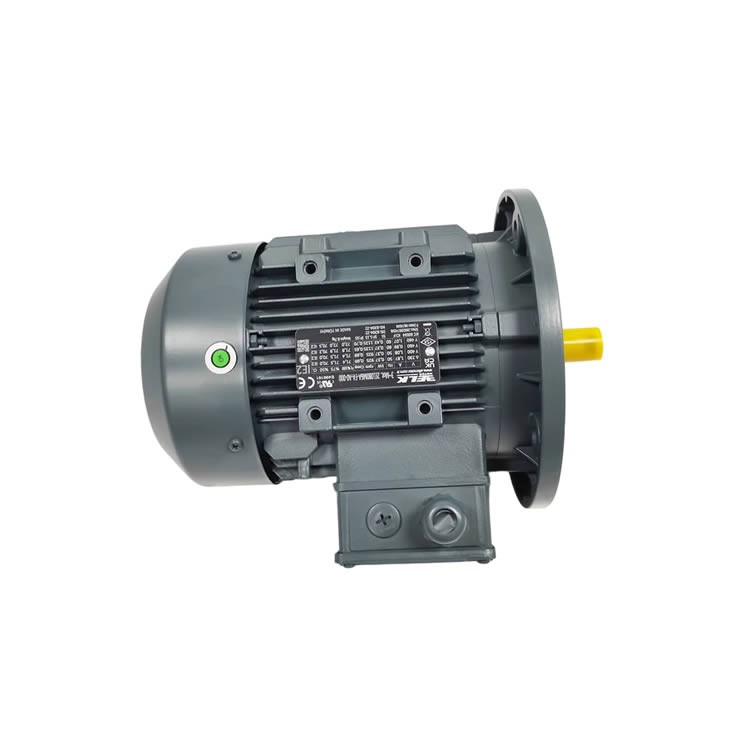 ELK 三相異步電動機 2EL080M6A?FA?A0?000